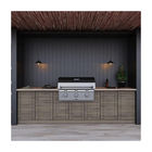 Customized Contemporary Outdoor Gas Bbq Grill Kitchen Cabinets