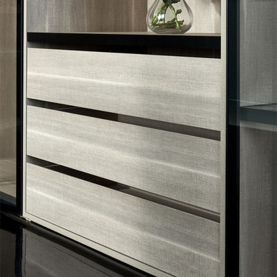 ODM Glass Door Wardrobes Modern Glass Closet