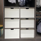 Luxury OEM Modular Cabinet Accessories Pull Out Wardrobe Closet Drawer
