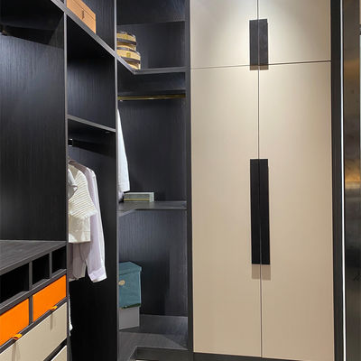 Modern Bedroom With Walk In Closet Home Furniture Modern Wardrobe Closets